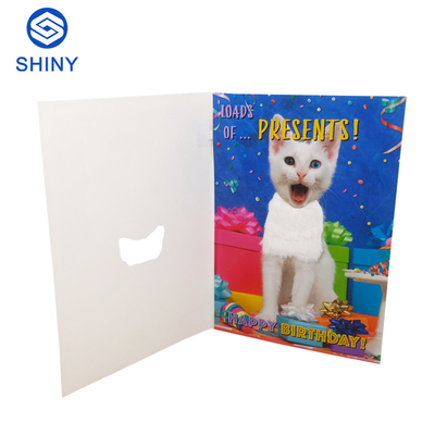 Le cartoline d'auguri registrabili inseriscono Chip With Custom Song sano
